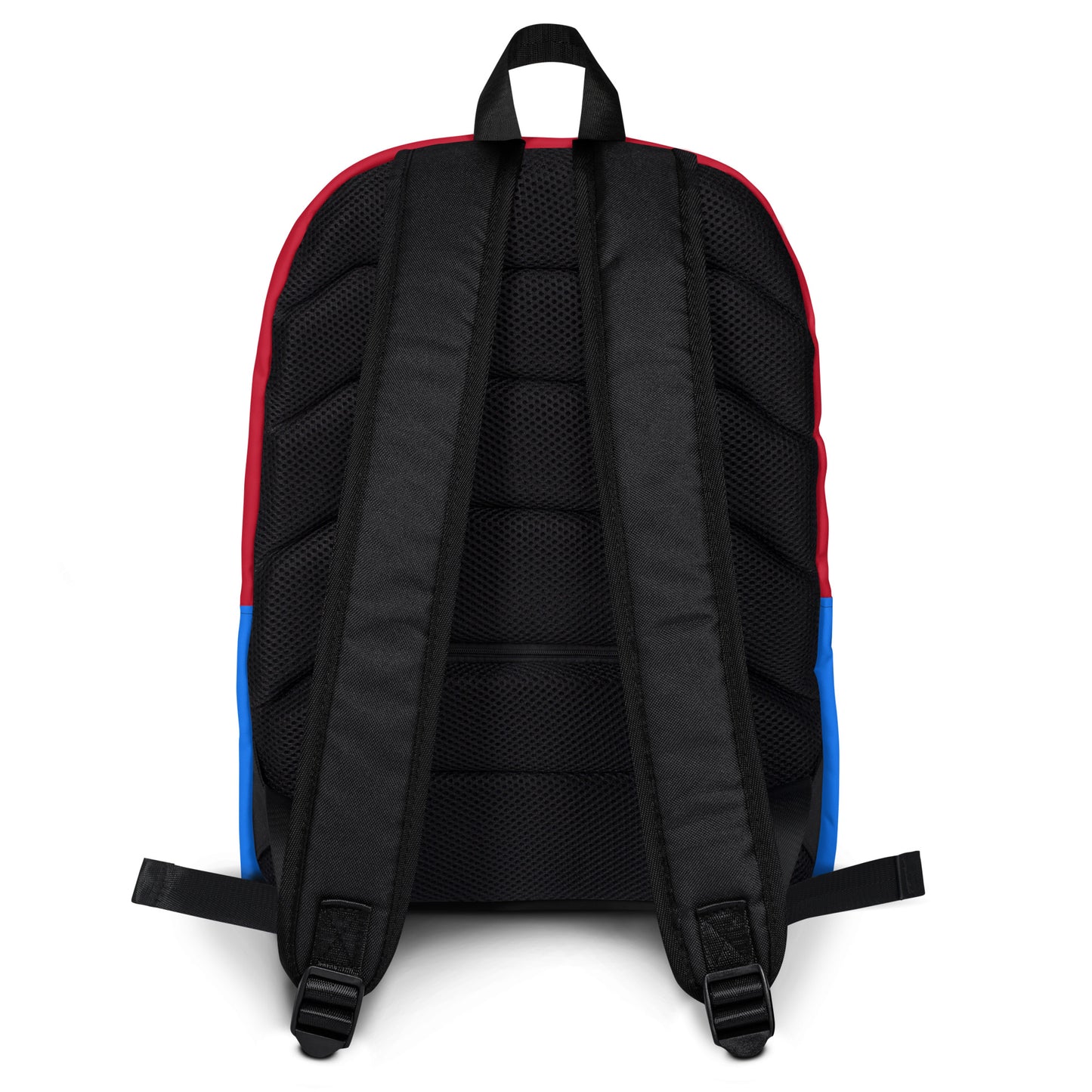 Coqui Andariego Backpack