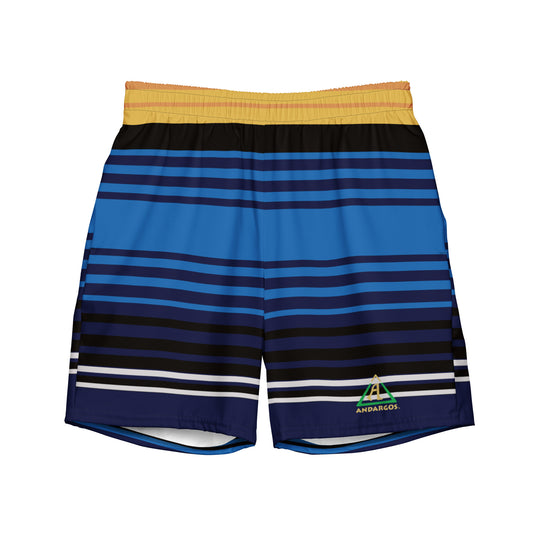 Retro Lines Recycled Men's Swim Trunks